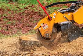 Best Commercial Tree Services  in Elroy, WI