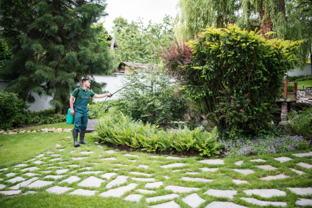Best Tree Removal  in Elroy, WI