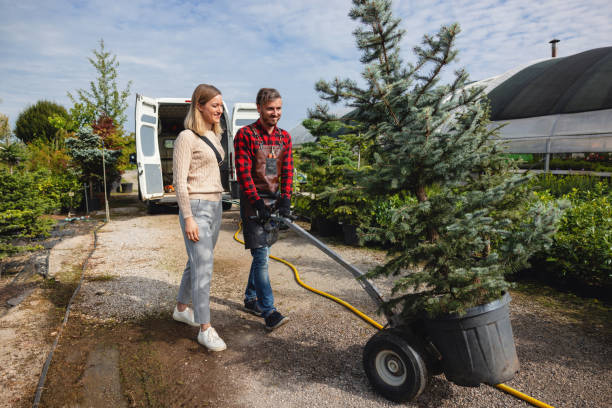 Best Landscape Design and Installation  in Elroy, WI